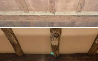 Stripped Beams to Antique Oak