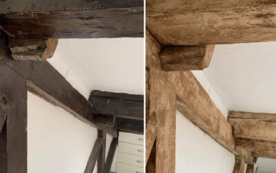 From Orange to an Antique Oak