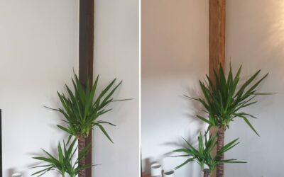 Beam Renovation to a Natural Oak Finish