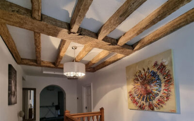 From Dark Brown to Antique Oak